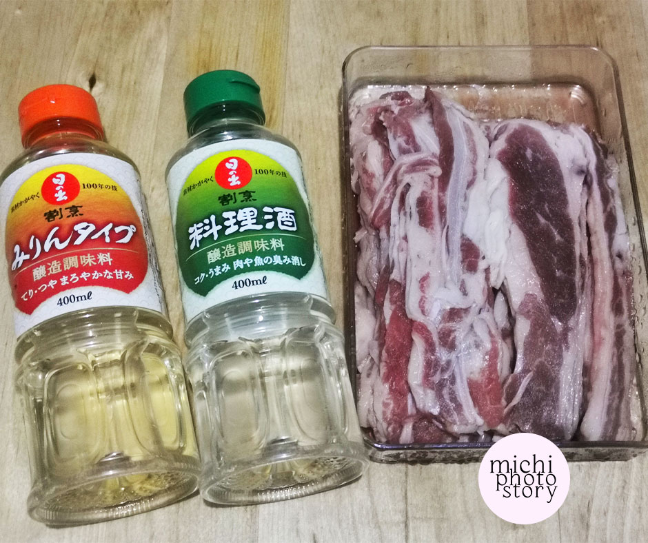 Michi Photostory: Beef Gyudon Recipe