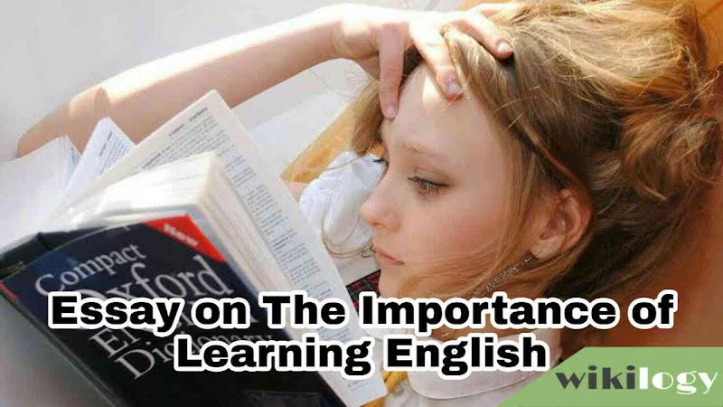 essay on learning english