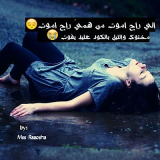 455849_dreambox-sat.com
