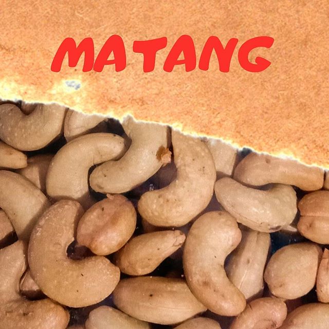 Kacang Mede Matang