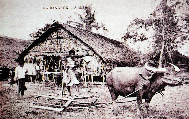 “A rural farmhouse” (late 1890s)