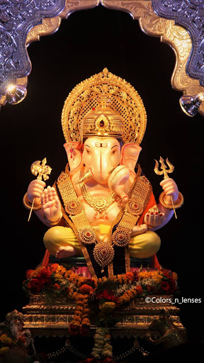 Download the best HD Wallpapers