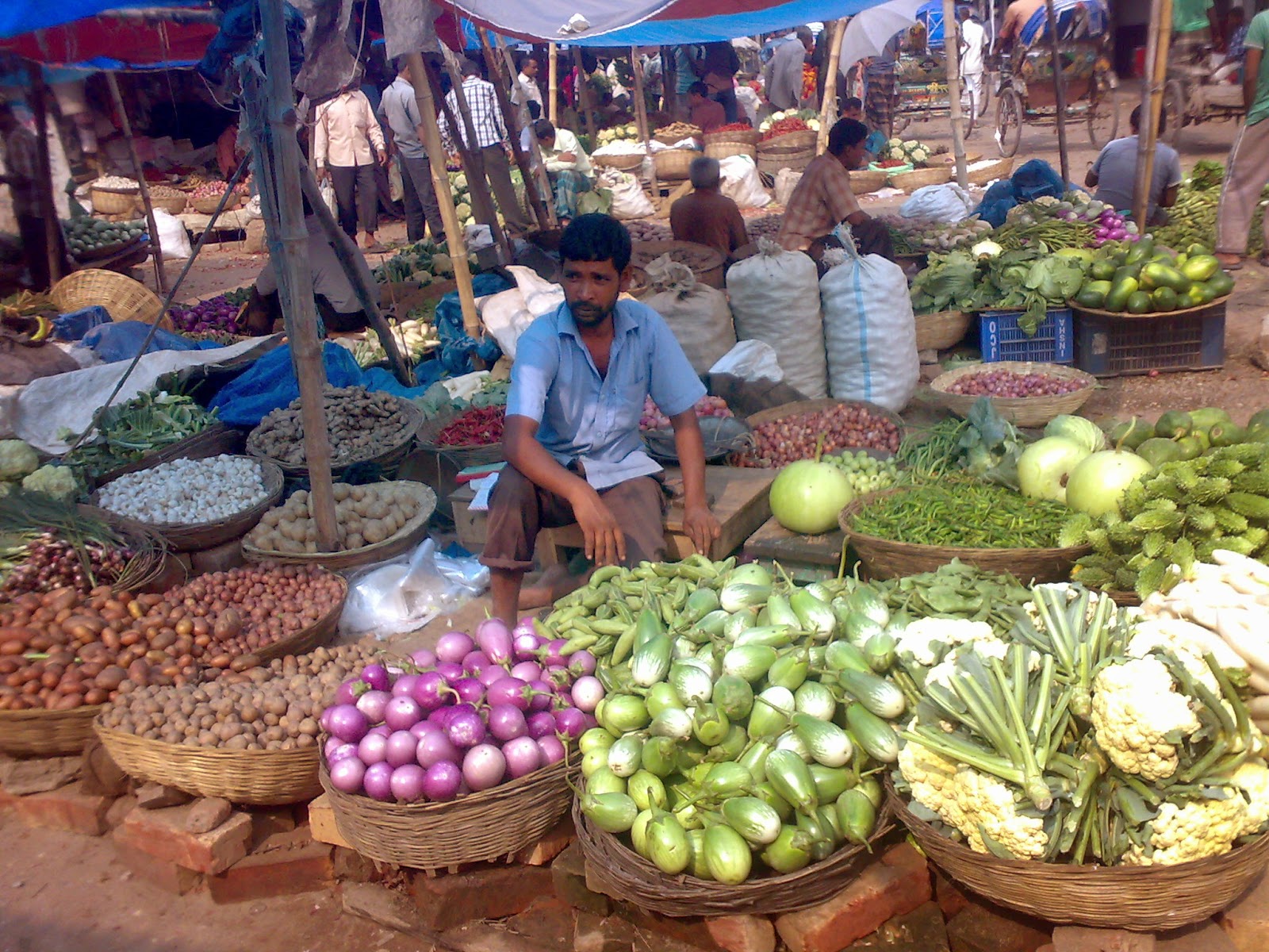 Bangladeshi Best Picture Joypurhat Vegetable Market 03