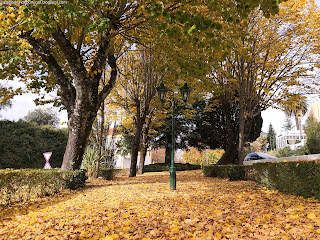 NATURE VIEWS / Fotografias de natureza, Castelo de Vide