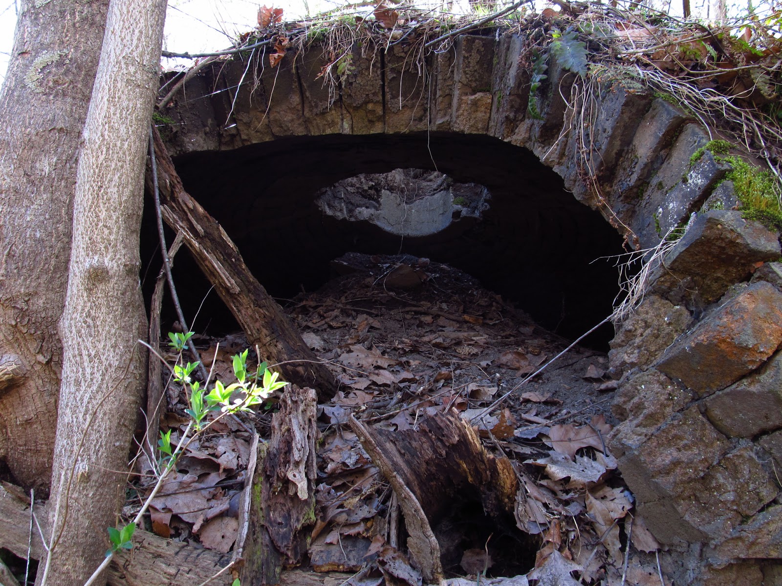 Old Industry of Southwestern Pennsylvania Donnelly Coke Ovens