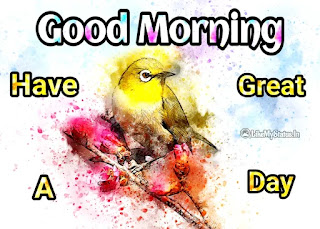 Good morning bird drawing