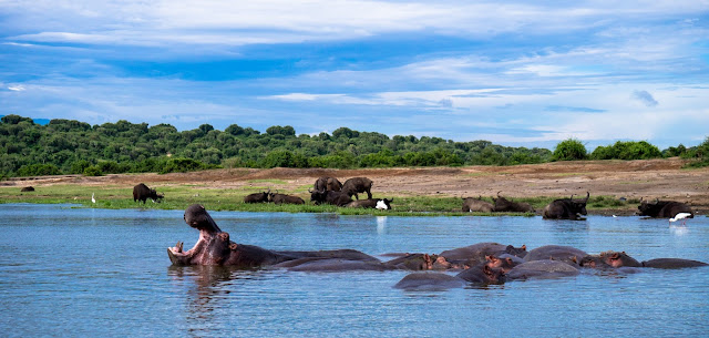 Kazinga Channel boat cruise Uganda