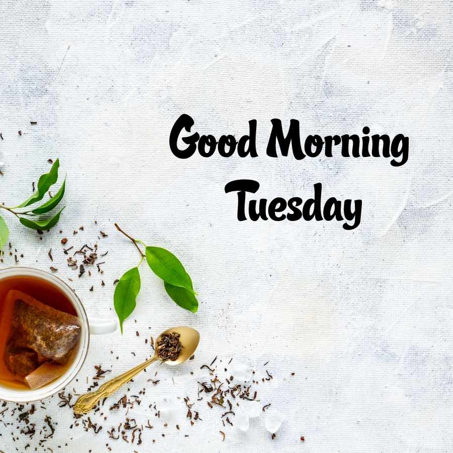 happy tuesday good morning