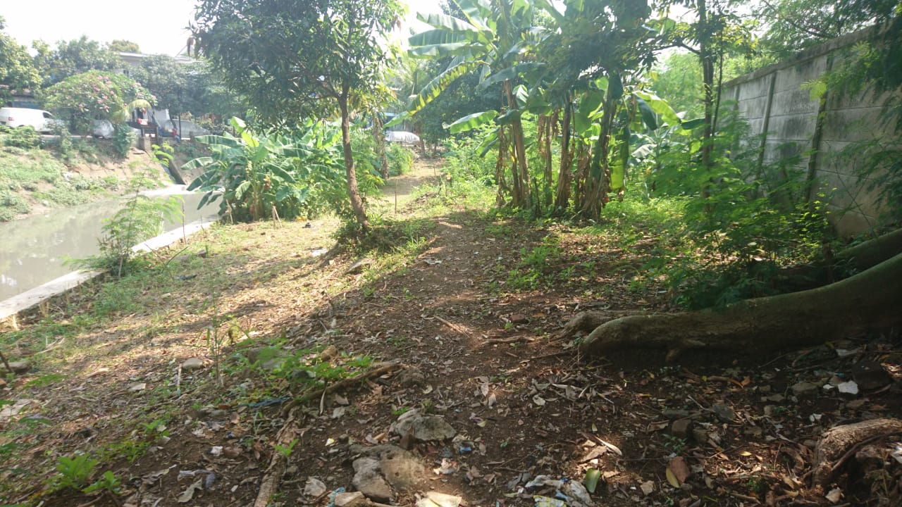 Bentuk Kelompok Tani Hutan Cara Kami Menjaga Hutan di Ibu Kota Jakarta