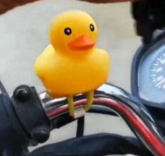 rubber duck motorcycle helmet