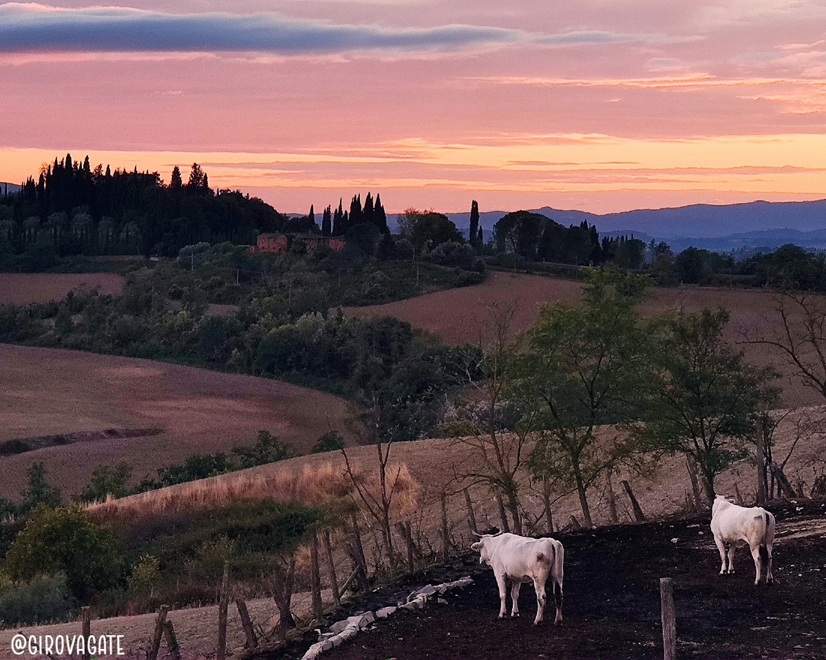 Agriturismo Casanova Asciano Crete Senesi