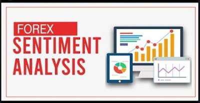 What is the Trader Sentiment of Forex?