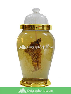 BÌNH NGÂM RƯỢU YONGCHEON HÀN QUỐC 18 LÍT – AF05 BÌNH NGÂM RƯỢU YONGCHEON HÀN QUỐC 18 LÍT – AF05