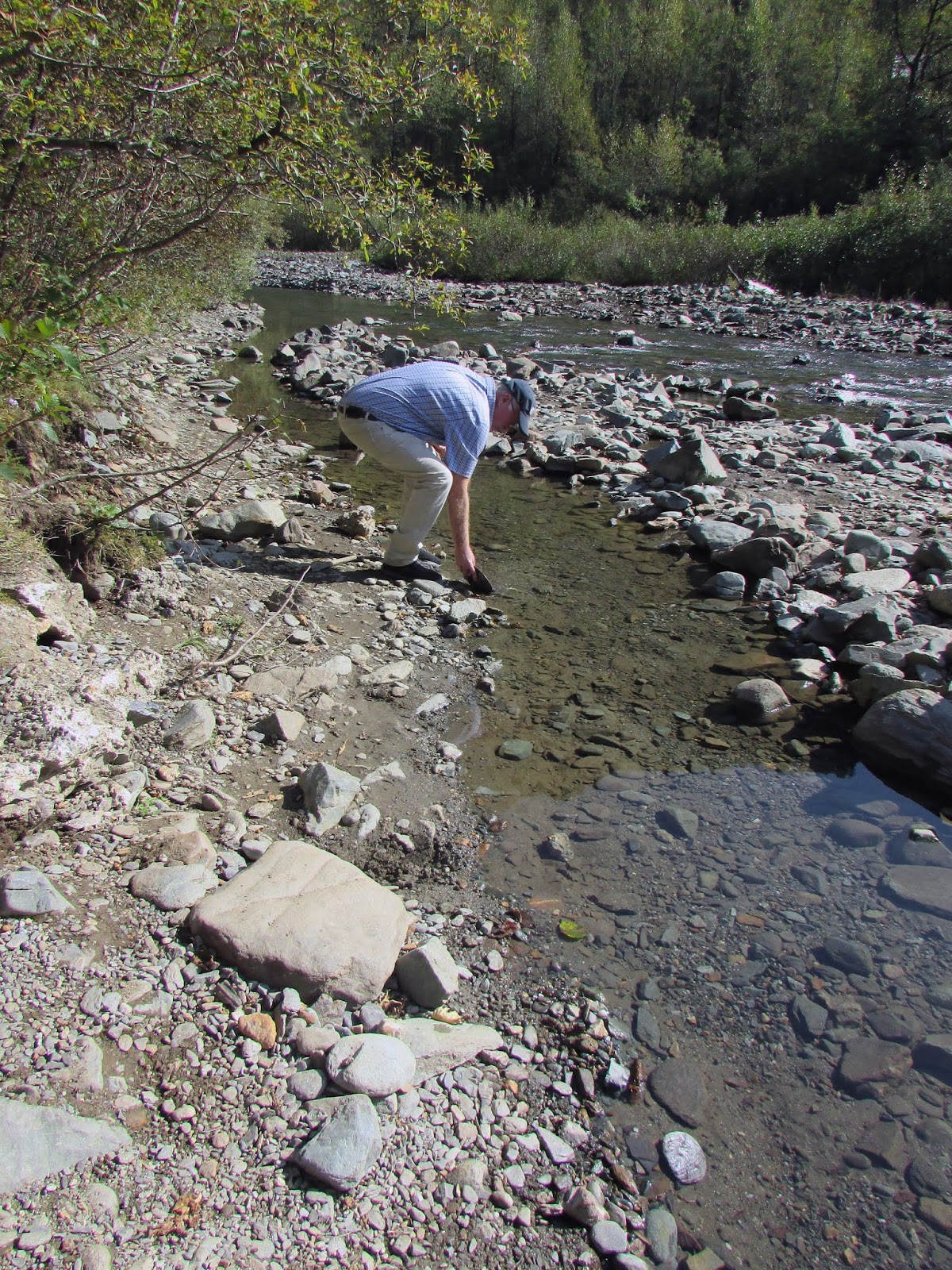 Gold Panning in Juneau