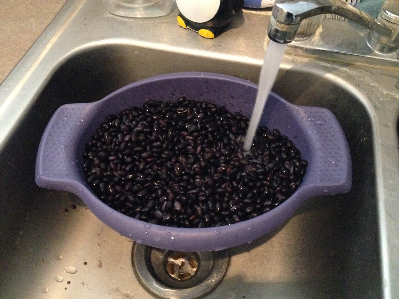 Pieces of Palm Cooking Dried Black Beans!