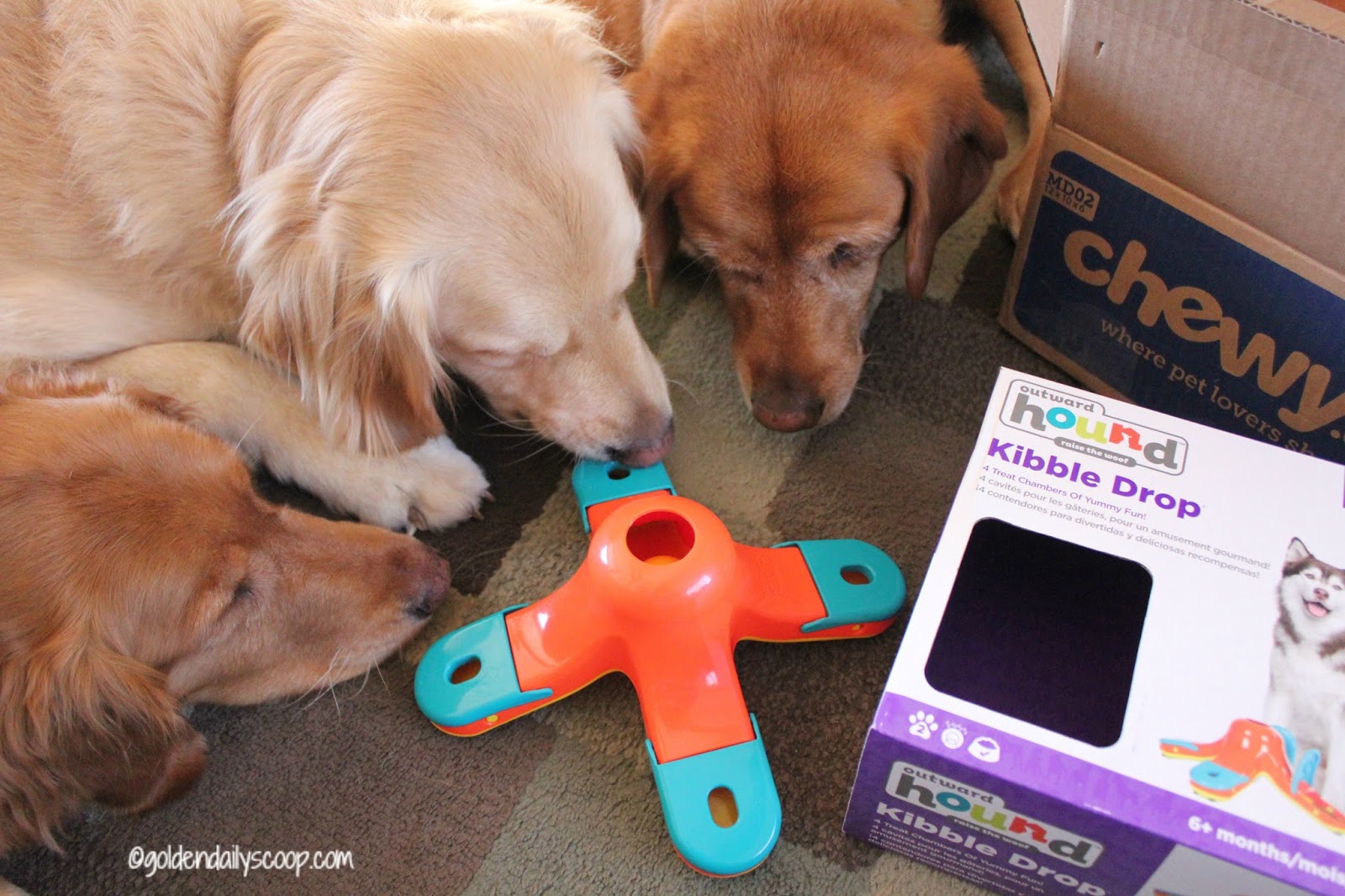 Pawesome Puzzle TRIPLE SNIFFER Interactive Dog Toy 