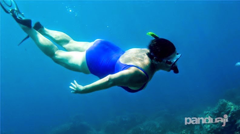 snorkling di karimunjawa snorkling di karimunjawa