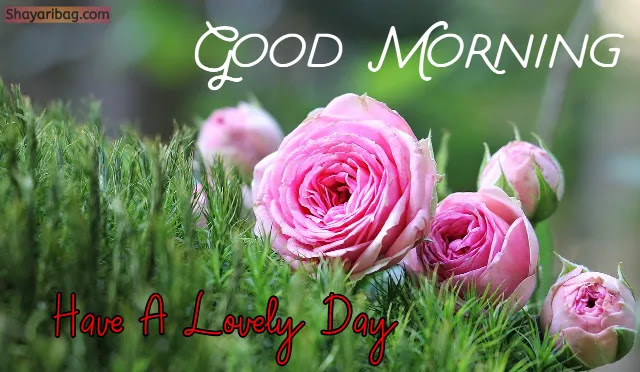 Good Morning with Flowers Good Morning with Flowers