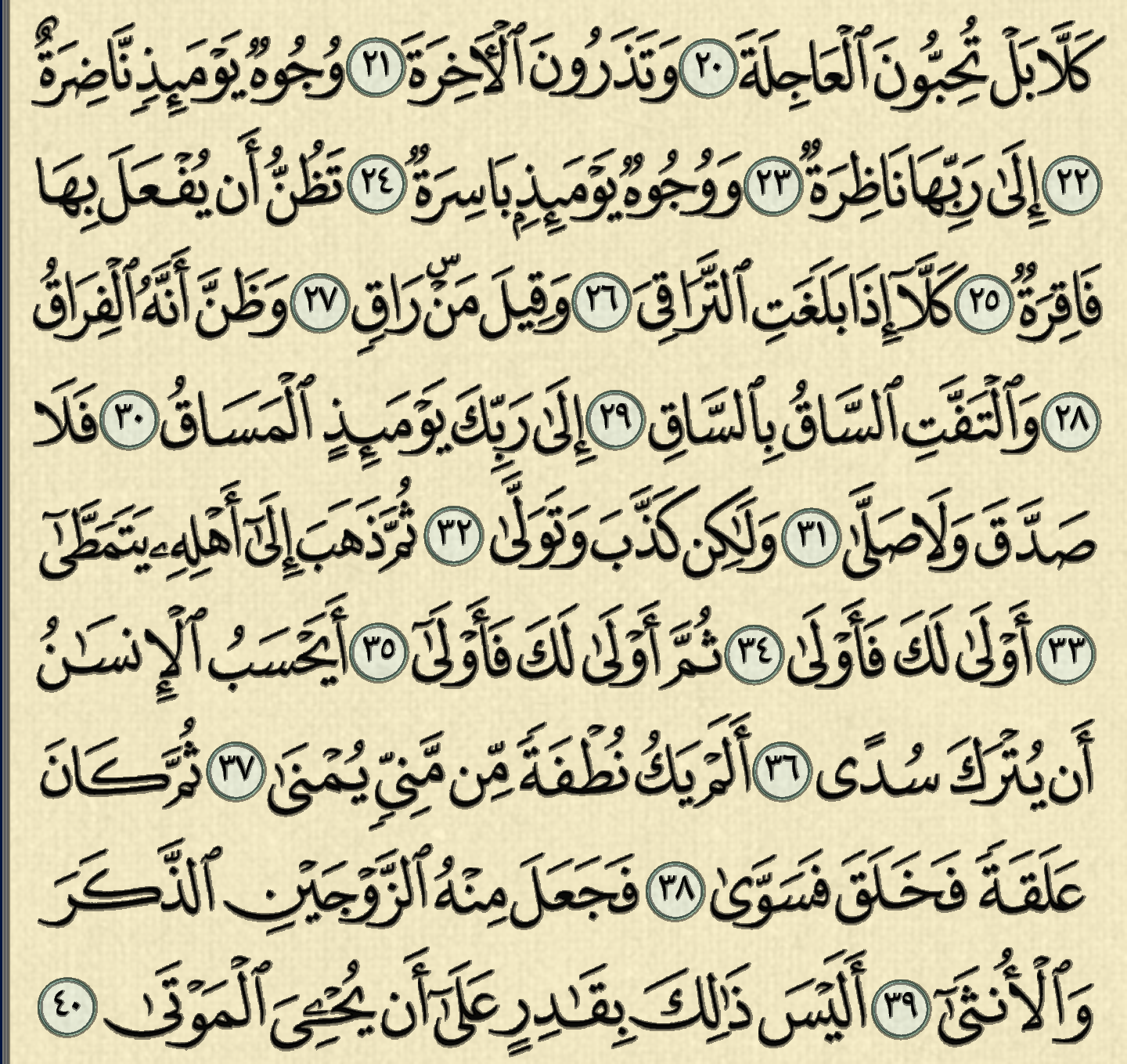 شرح وتفسير سورة القيامة surah Al-Qiyama,