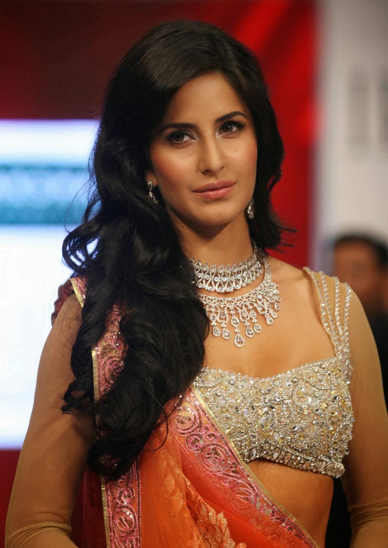 High Quality Bollywood Celebrity Pictures Katrina Kaif Looks Dazzling In A Revealing Saree At