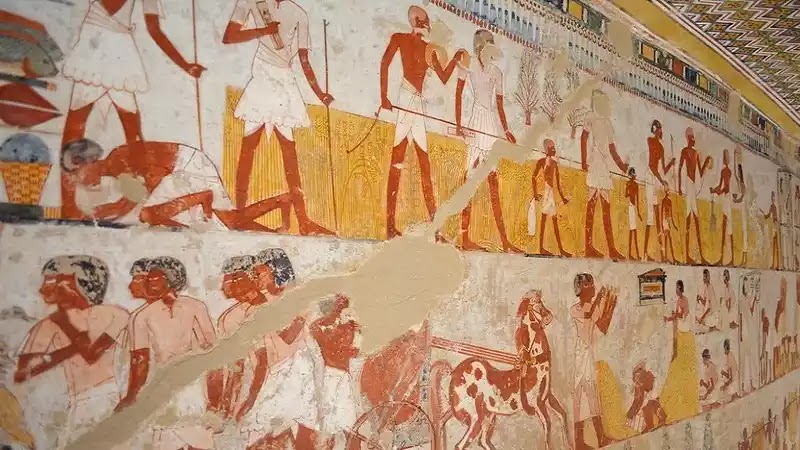Ancient Egypt Agriculture