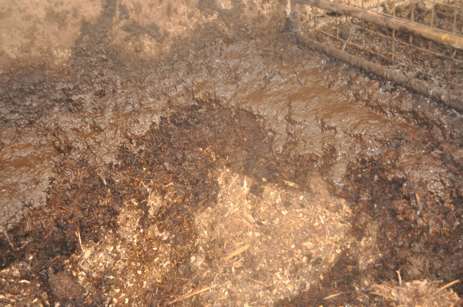 meat Back to farming...deep litter, 90 days in.