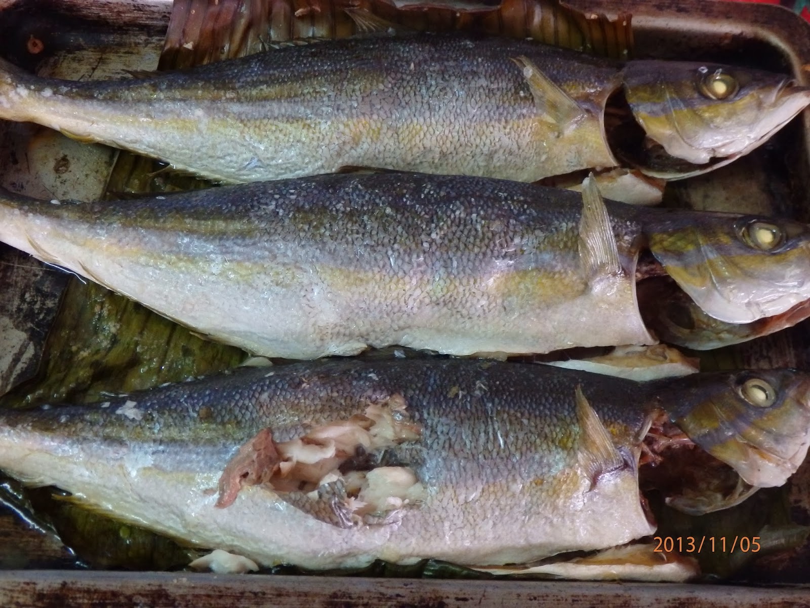 Lagesi Qhaifa IKAN PISANG