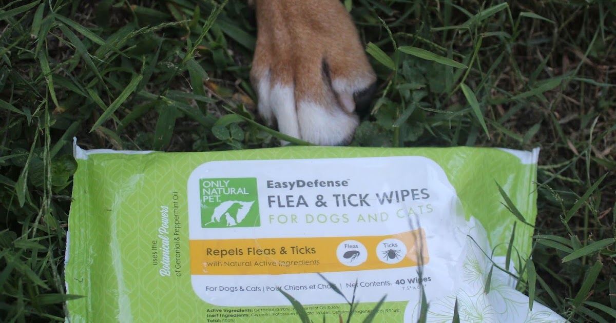 Dog Madness Wipe Fleas & Ticks Away With Natural Botanical Ingredients