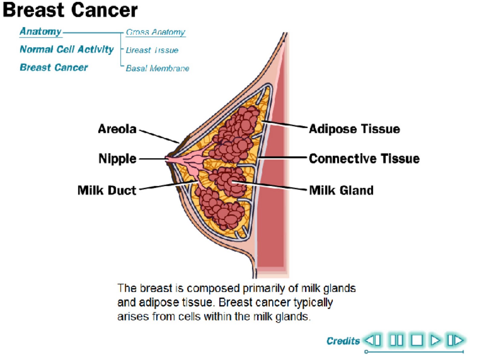 http://1.bp.blogspot.com/-PqllcLVbywg/TifDTj1UEhI/AAAAAAAAAGI/wcUv2t2rCzE/s1600/breastcancer.jpg