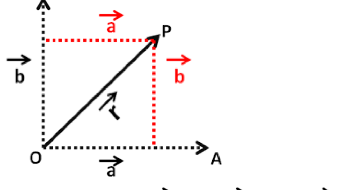 LearningCafe Scalar and Vector