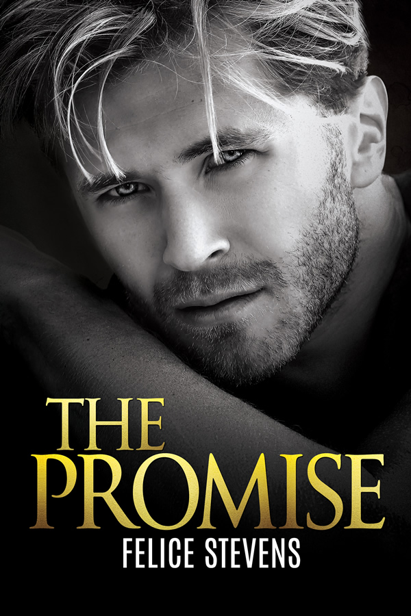 Amy's Romance Reviews: The Promise (Lost in New York #2) by Felice Stevens