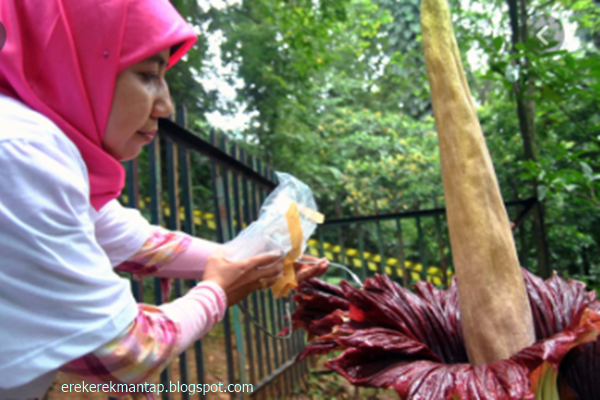 24 Angka Mimpi Tentang Bangkai Versi Erek Erek 2d 3d 4d Mantap Erek Erek Mantap