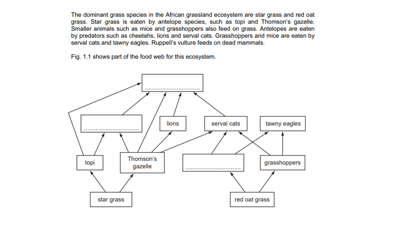 Grade 10: ENRICHMENT LESSON WEEK 2