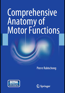 Comprehensive Anatomy of Motor Functions Comprehensive Anatomy of Motor Functions