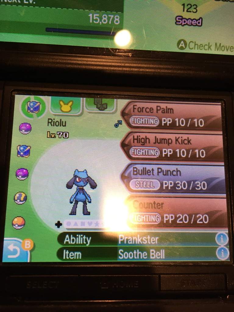 What level does riolu evolve in pokemon sword