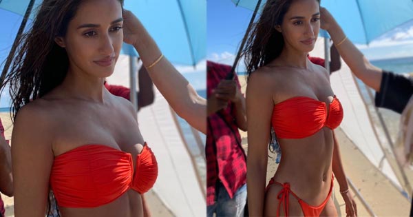 disha patani red bikini