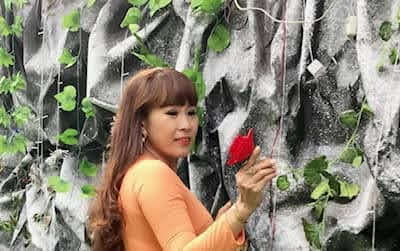 Hoài đông- Nhật Quang Hoài đông- Nhật Quang