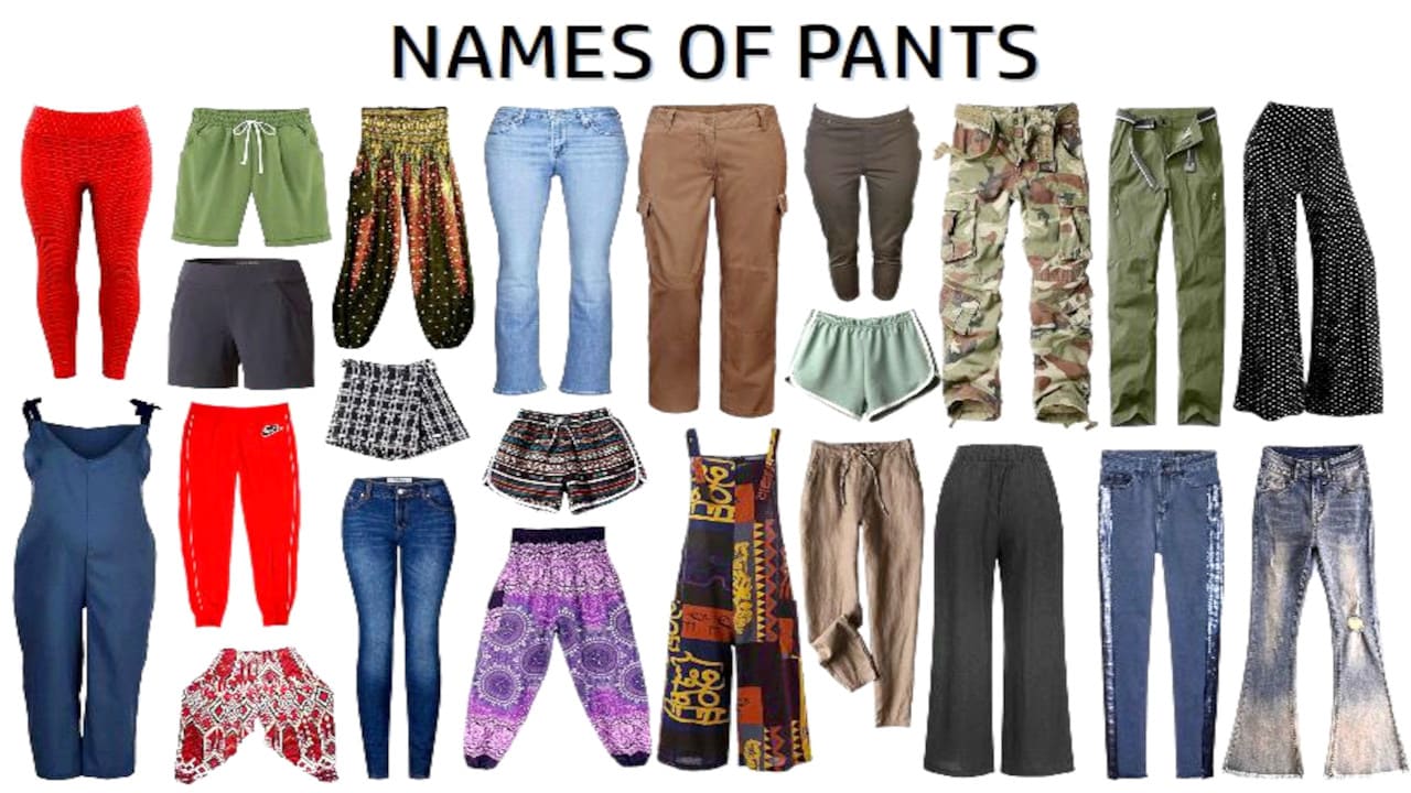 15 Different Types of Pants For women-bdsngoinhaviet.com.vn