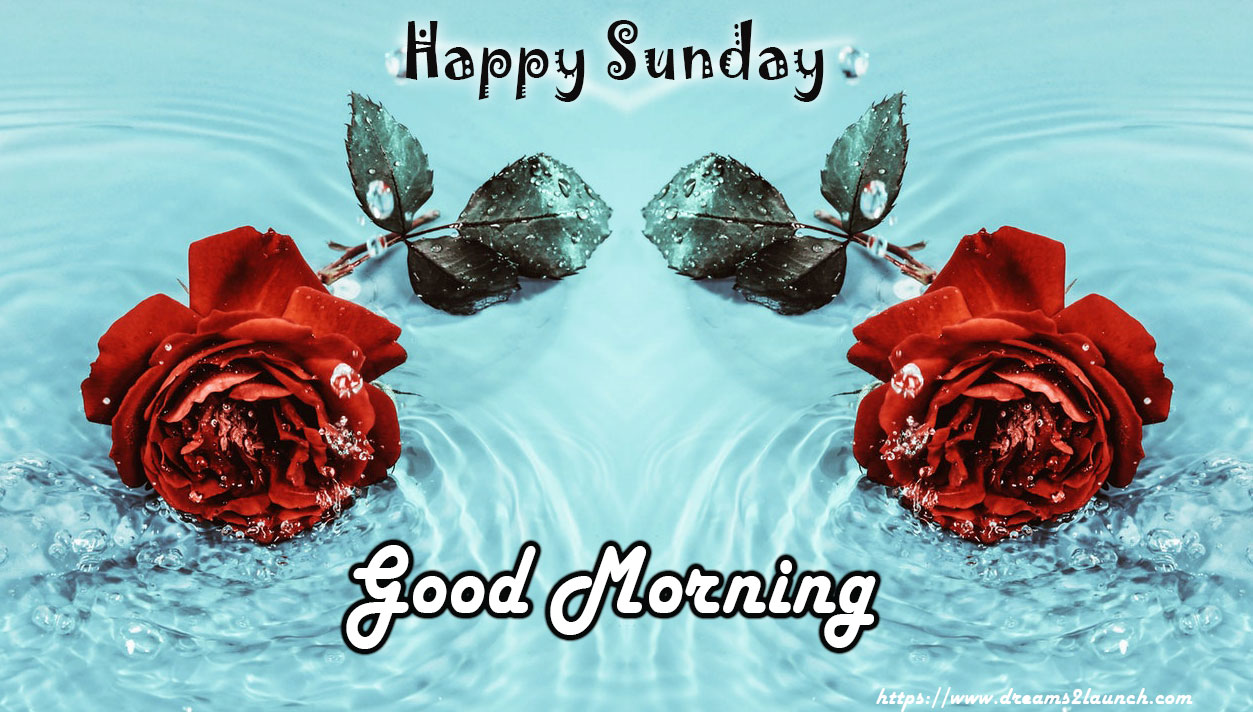 Good Morning Sunday | Happy Sunday Good Morning Images