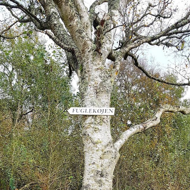 Urlaub auf Fanø mit Kindern: 3 weitere Ausflüge für Familien. Die Vogelkojen auf Fanö sind einen Besuch wert!