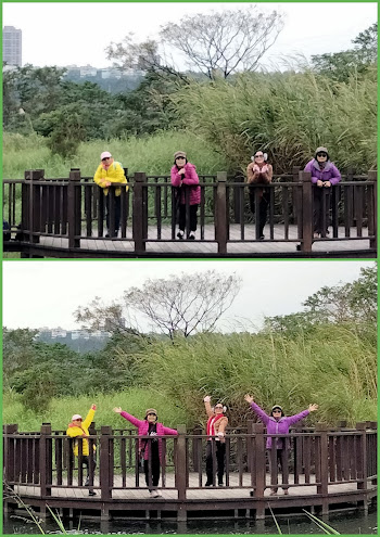 大溪景點.山豬湖親水公園.再訪迷路.有緣姊妹淘狂拍樂逍遙