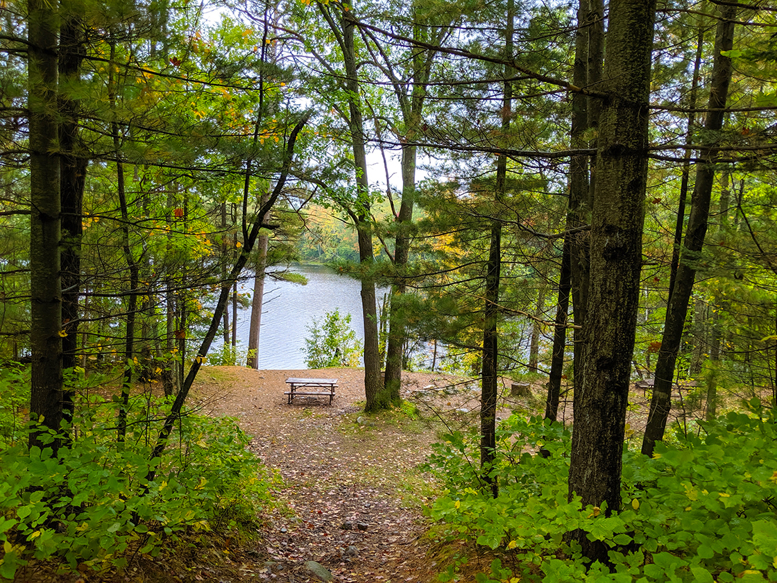 Hiking Otter Lake County Park