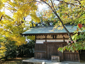 白旗神社のイチョウ