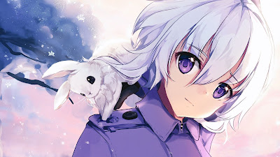 Wallpaper girl, rabbit, white hair, purple eyes, anime