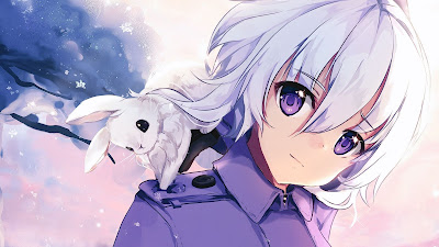 Wallpaper girl, rabbit, white hair, purple eyes, anime Wallpaper girl, rabbit, white hair, purple eyes, anime