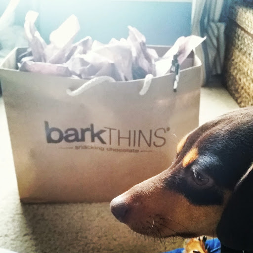 barkTHINS-Package-tasteasyougo.com