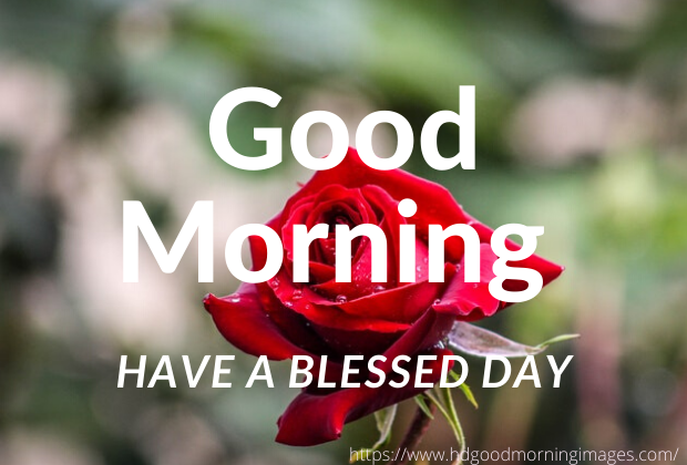 cute good morning text for her cute good morning text for her