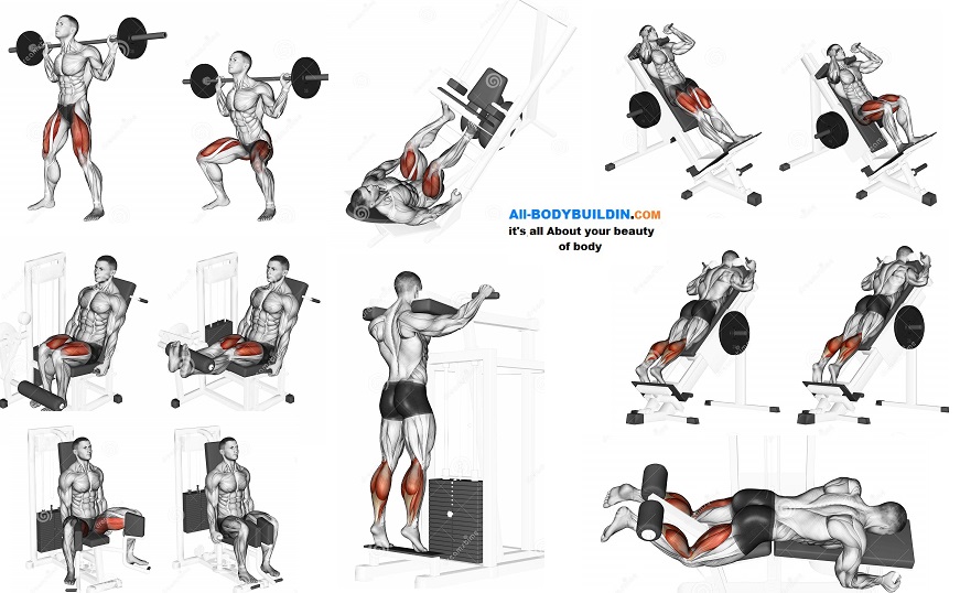 5 Day Leg Workouts At Home To Build Muscle for Gym