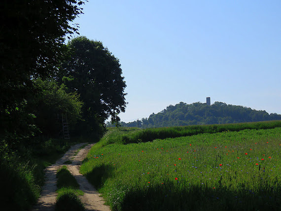 Zamek Pilcza widok na zamek