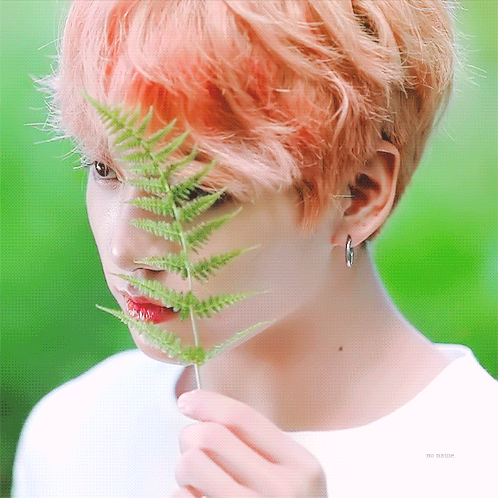 jk4.gif